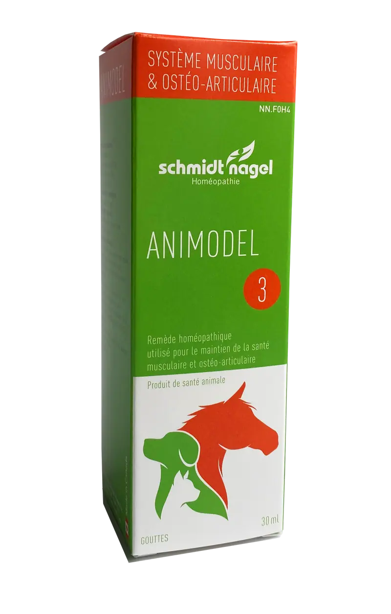Animodel 3 Osteo Articulation (30ml)