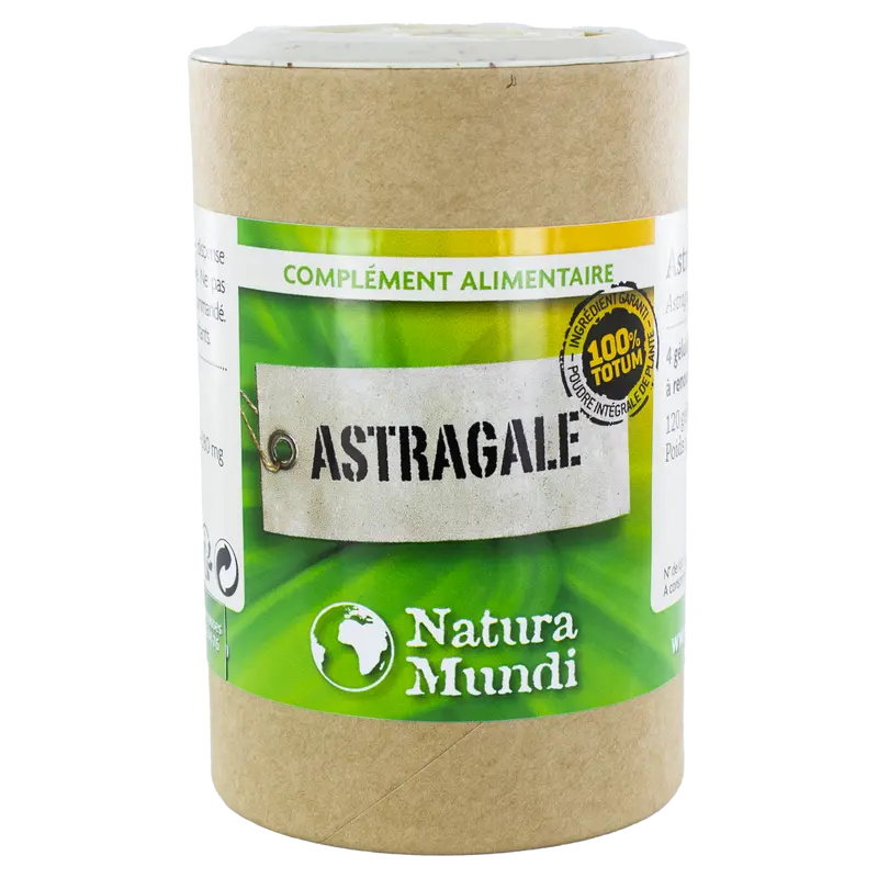 Astragale