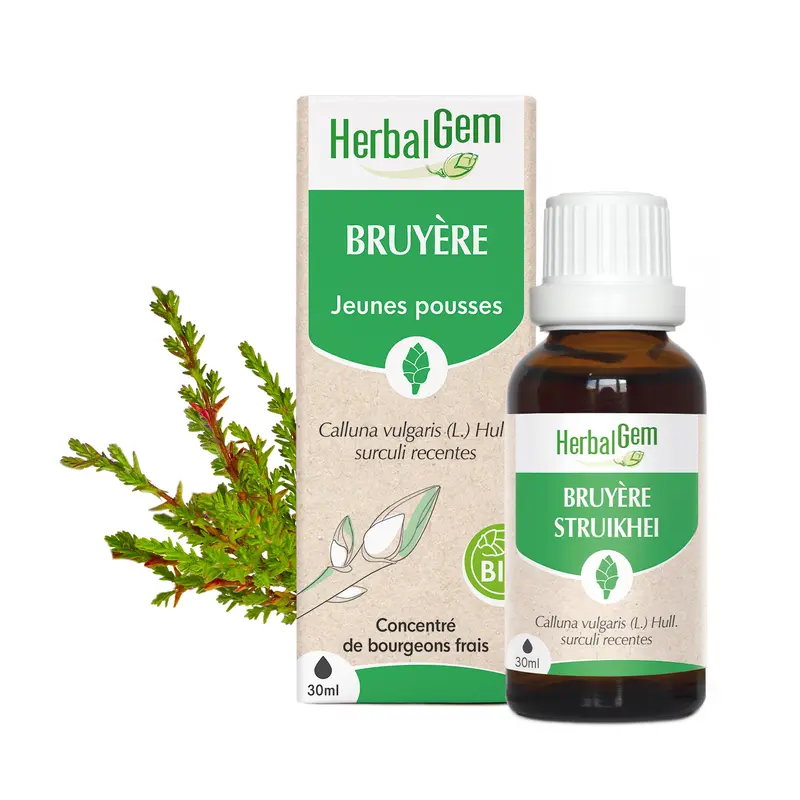 Bourgeon de Bruyère - Bio