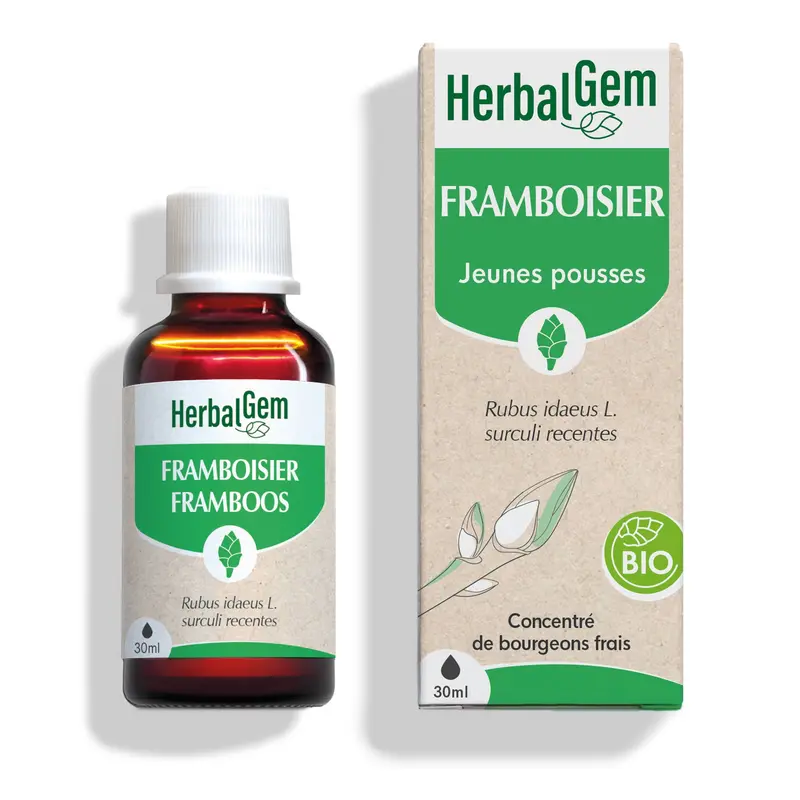 Bourgeon de framboisier - Bio