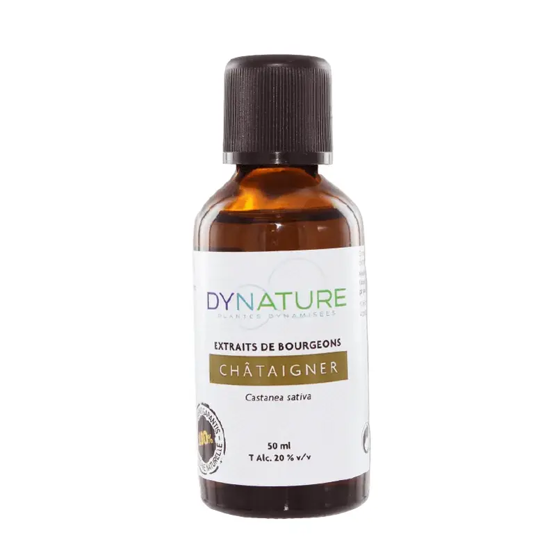 Châtaignier- Extrait Dynamisé de Bourgeons