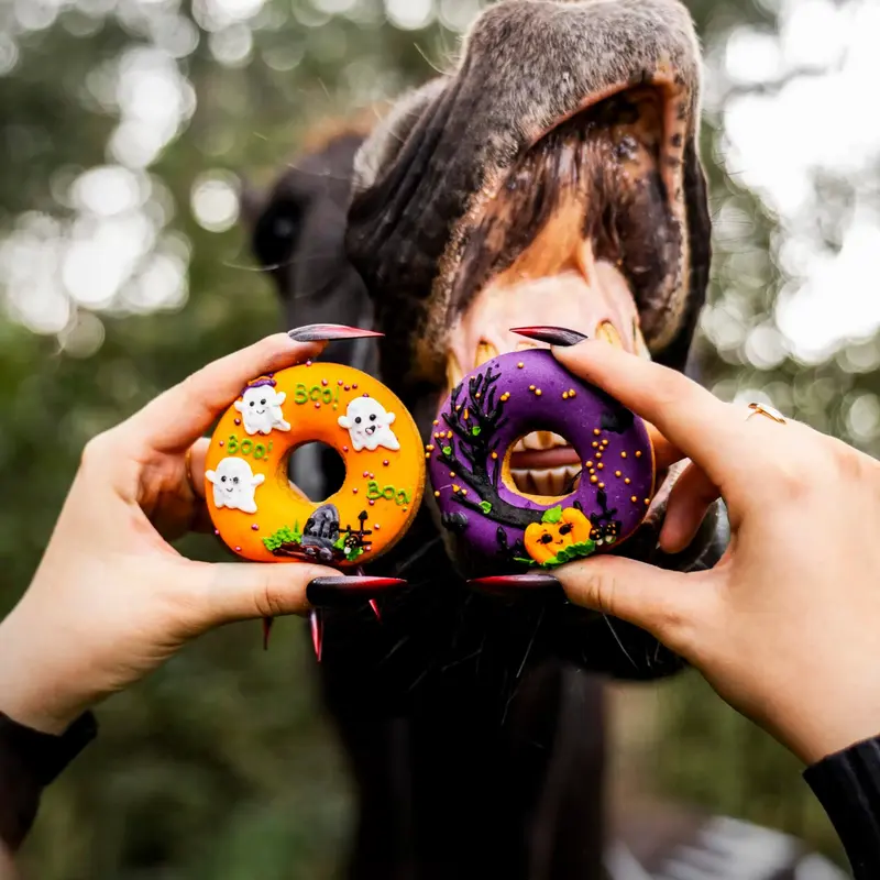 Donuts x2 Halloween 🎃