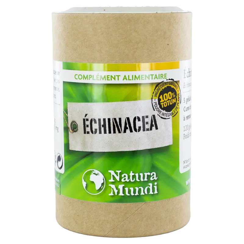 Echinacea