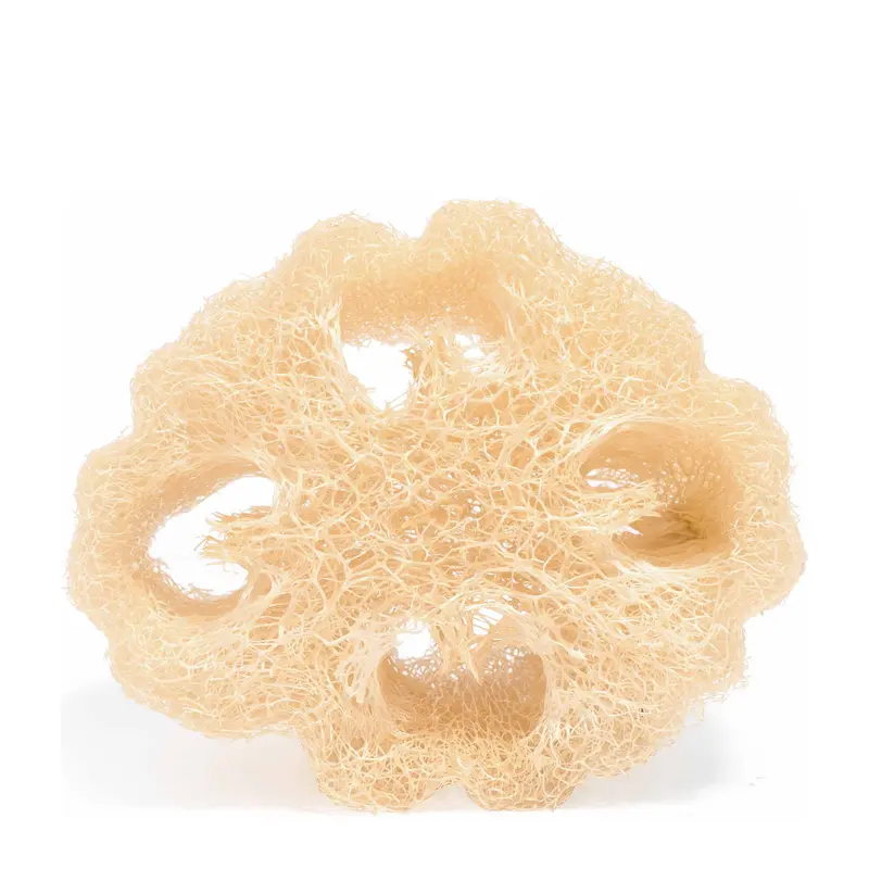 Éponge végétale Loofah