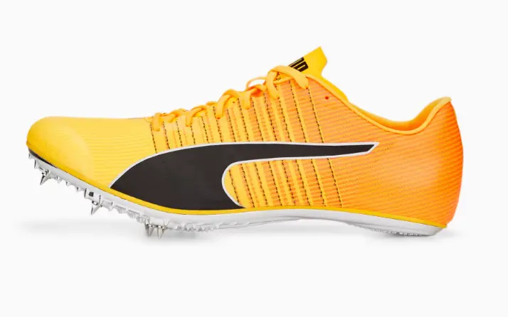 evoSpeed Tokyo Brush