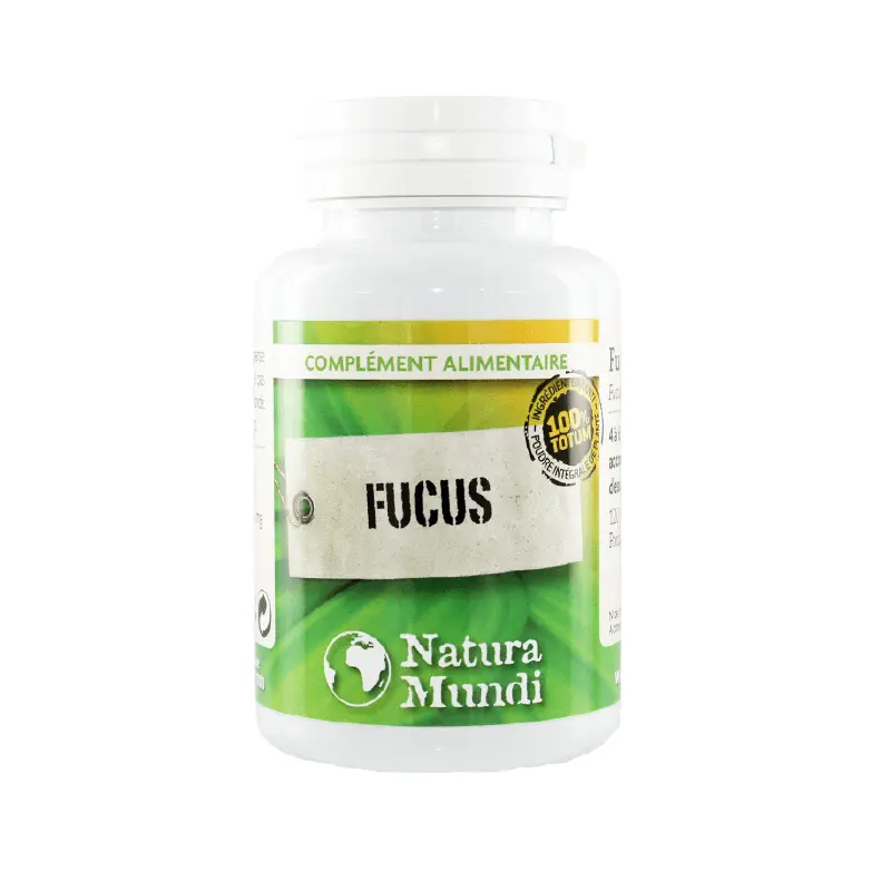 Fucus - DDM 01-26