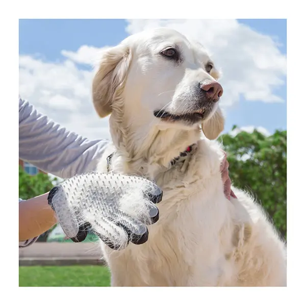 Gant de brossage chiens chats