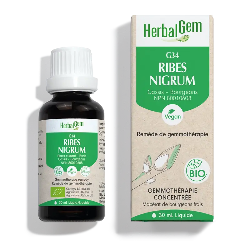 Herbalgem - G34 ribes nigrum - 30 ml
