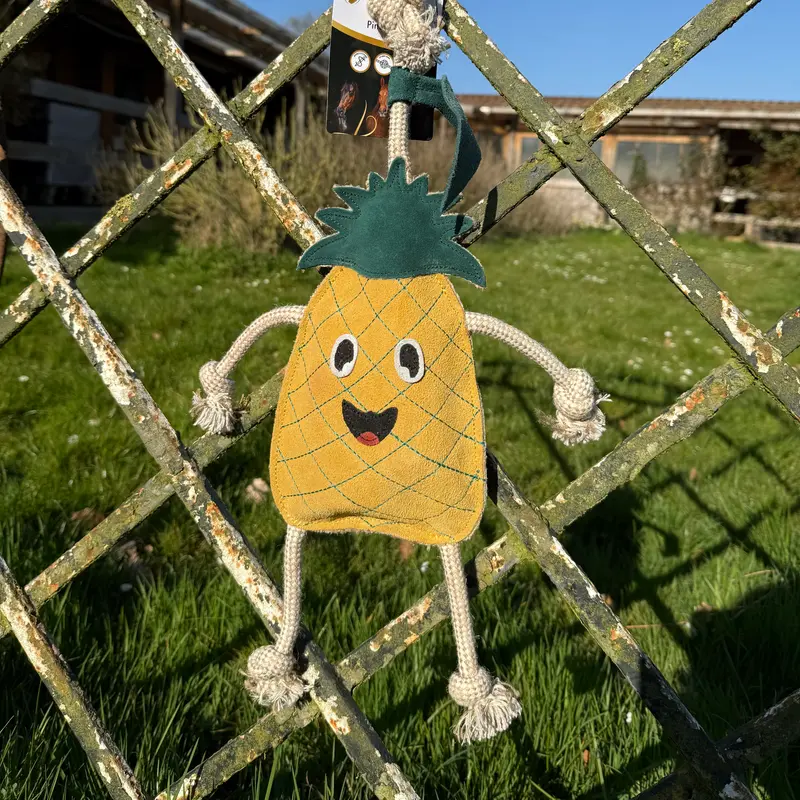 Jouet Ananas