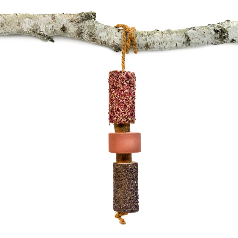 Jouet en bois + block digestion