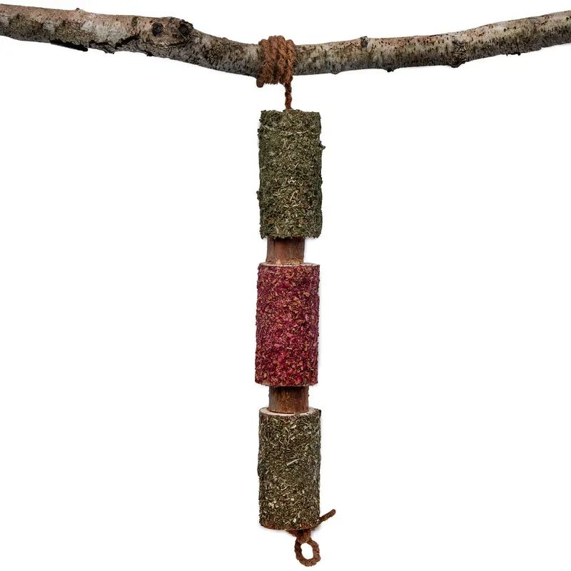 Jouet en bois immunité