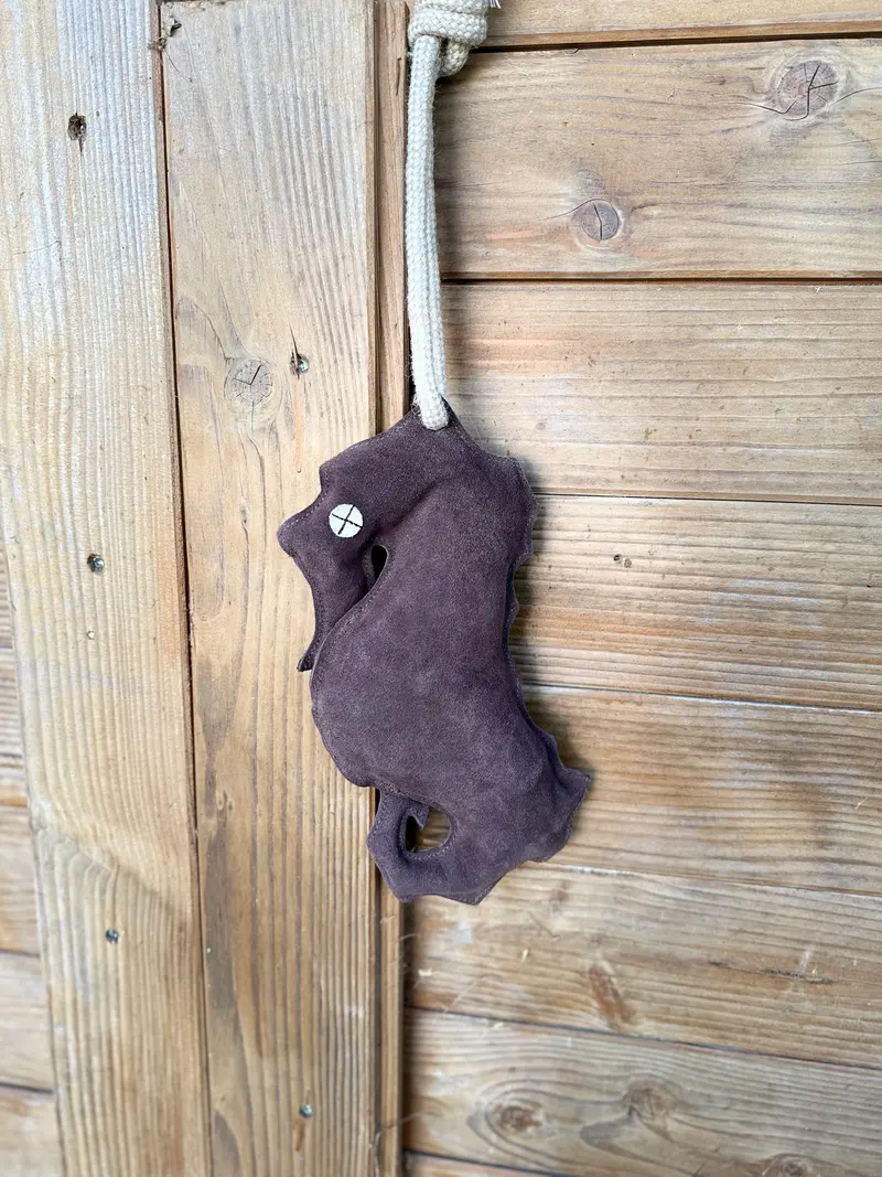 Jouet Hippocampe