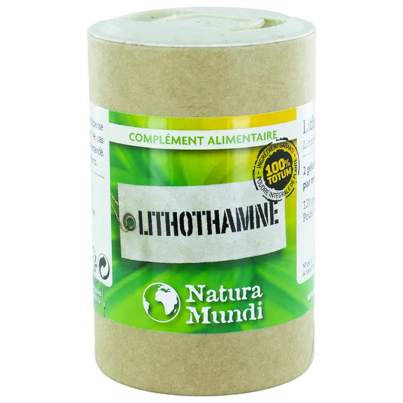 Lithothamne