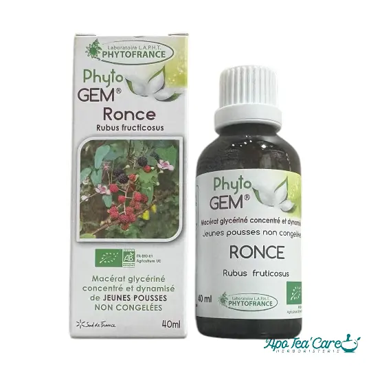 Macérat Phyto'gem Concentré de Bourgeons de Ronce 40ml