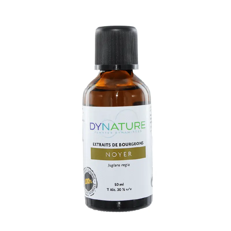Noyer - Extrait dynamisé de Bourgeons