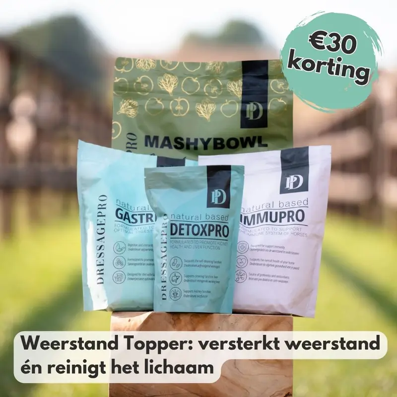 Winter Weerstand Bundel